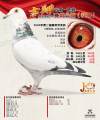 图片暂时未上传