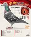 图片暂时未上传