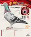 图片暂时未上传