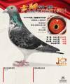 图片暂时未上传