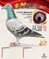 图片暂时未上传