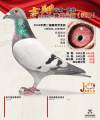 图片暂时未上传