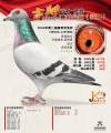 图片暂时未上传