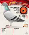 图片暂时未上传