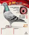 图片暂时未上传