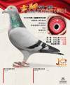 图片暂时未上传