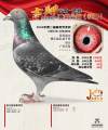图片暂时未上传