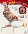 图片暂时未上传
