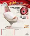 图片暂时未上传