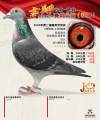 图片暂时未上传