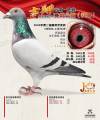 图片暂时未上传