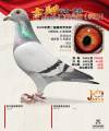 图片暂时未上传
