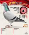 图片暂时未上传