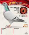 图片暂时未上传