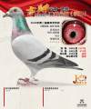 图片暂时未上传