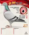 图片暂时未上传
