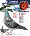 图片暂时未上传