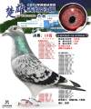 图片暂时未上传