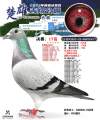 图片暂时未上传