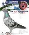 图片暂时未上传