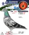 图片暂时未上传