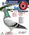 图片暂时未上传