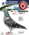 图片暂时未上传