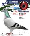 图片暂时未上传