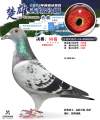 图片暂时未上传