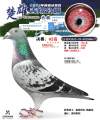 图片暂时未上传