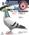 图片暂时未上传