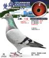 图片暂时未上传