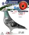 图片暂时未上传