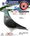 图片暂时未上传