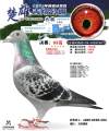 图片暂时未上传