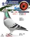 图片暂时未上传
