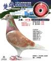 图片暂时未上传
