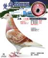 图片暂时未上传