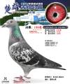图片暂时未上传