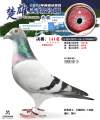 图片暂时未上传