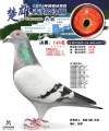 图片暂时未上传