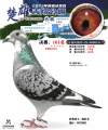 图片暂时未上传