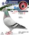 图片暂时未上传