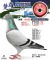 图片暂时未上传