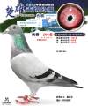 图片暂时未上传