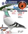 图片暂时未上传