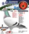 图片暂时未上传