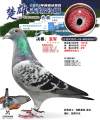 图片暂时未上传