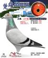 图片暂时未上传