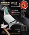 图片暂时未上传
